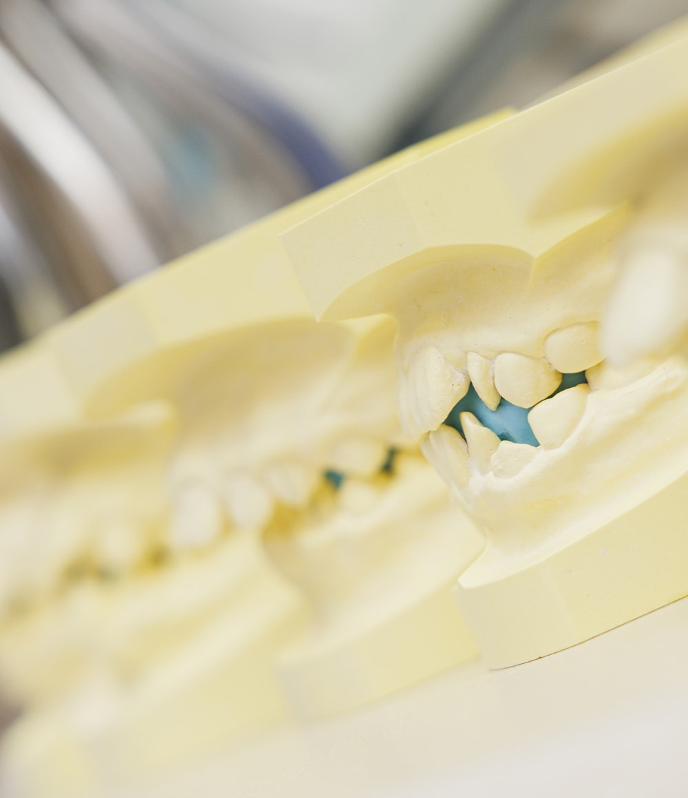 矯正スペシャリスト